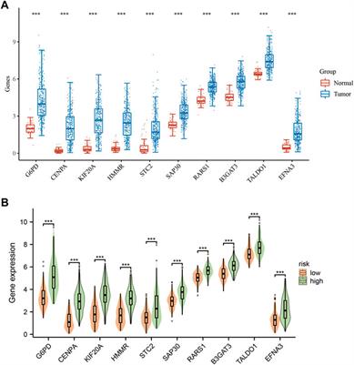 Multi-omic analysis of glycolytic signatures: exploring the predictive significance of heterogeneity and stemness in immunotherapy response and outcomes in hepatocellular carcinoma